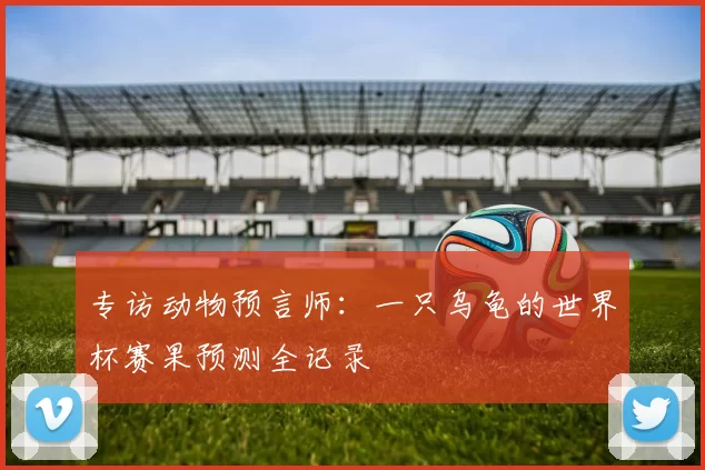 专访动物预言师:一只乌龟的世界杯赛果预测全记录