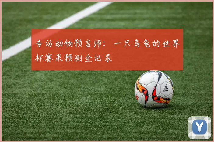 专访动物预言师：一只乌龟的世界杯赛果预测全记录