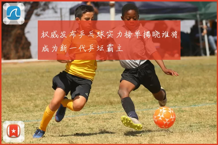 权威发布乒乓球实力榜单揭晓谁将成为新一代乒坛霸主