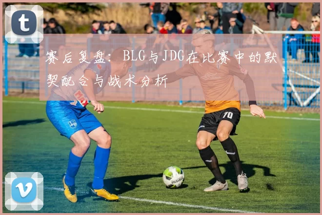 赛后复盘:BLG与JDG在比赛中的默契配合与战术分析