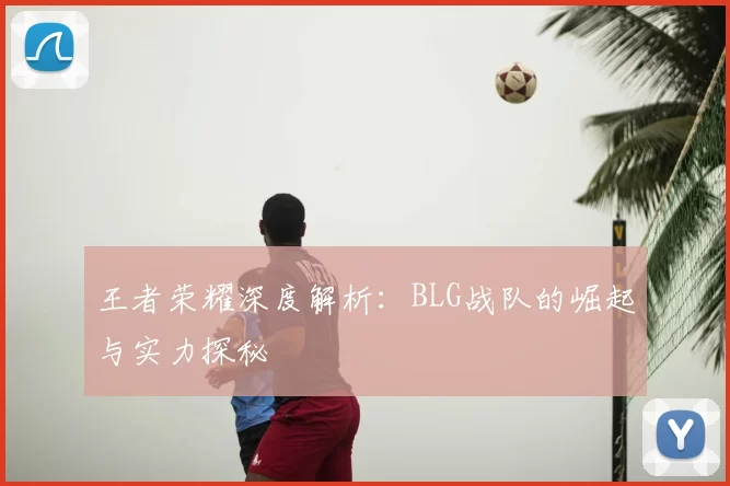 王者荣耀深度解析：BLG战队的崛起与实力探秘