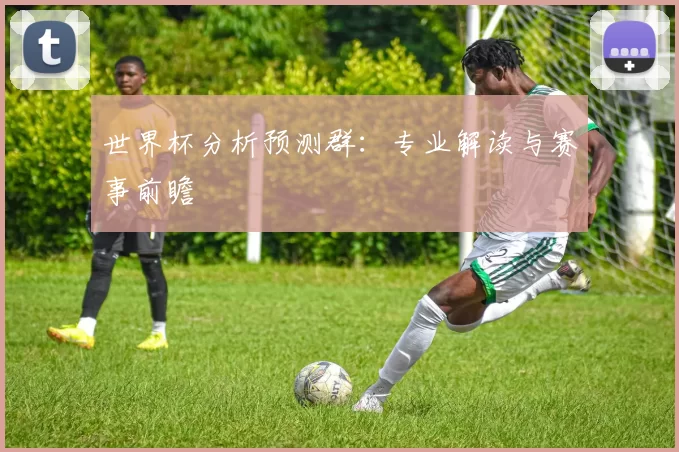 世界杯分析预测群:专业解读与赛事前瞻