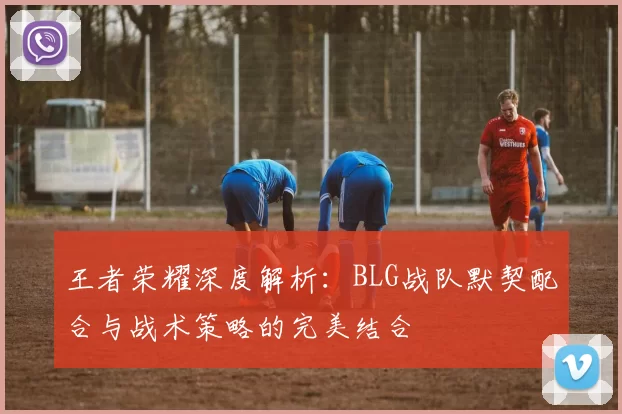 王者荣耀深度解析：BLG战队默契配合与战术策略的完美结合