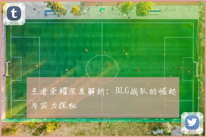 王者荣耀深度解析：BLG战队的崛起与实力探秘