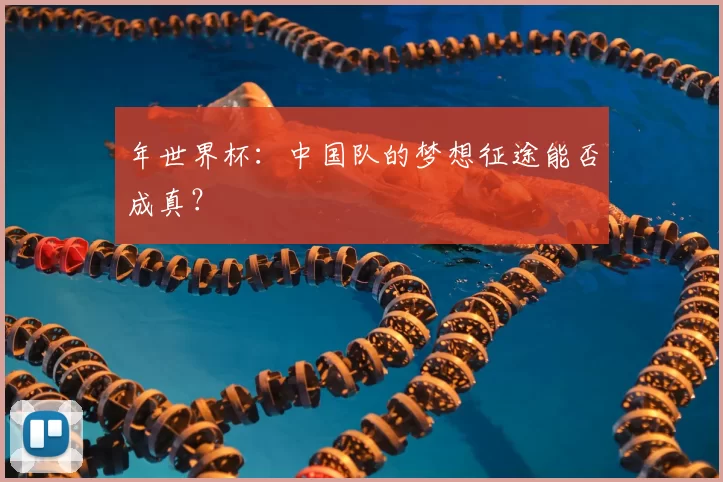 年世界杯:中国队的梦想征途能否成真?