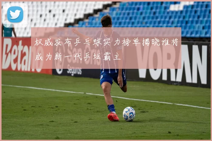 权威发布乒乓球实力榜单揭晓谁将成为新一代乒坛霸主