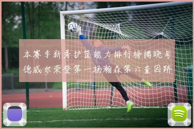本赛季新秀护筐能力排行榜揭晓考德威尔荣登第一杨瀚森第六奎因跻身前十