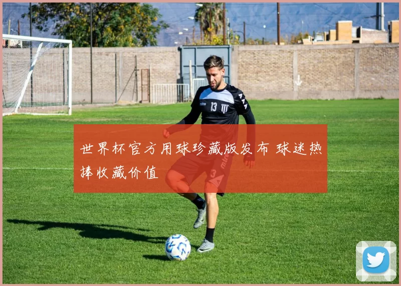 世界杯官方用球珍藏版发布 球迷热捧收藏价值