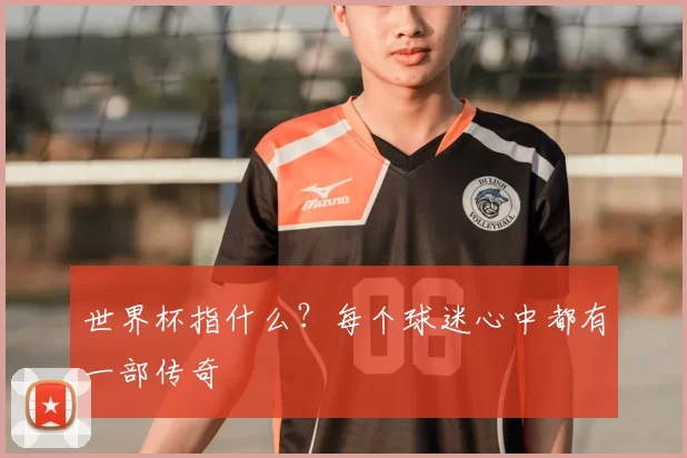 世界杯指什么?每个球迷心中都有一部传奇
