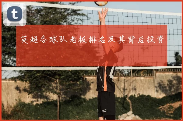 英超各球队老板排名及其背后投资