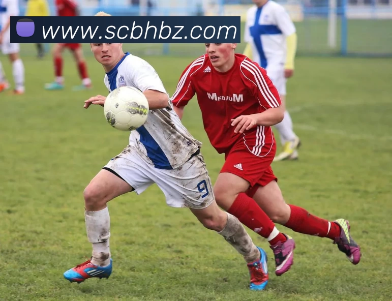 华体会体育品牌故事